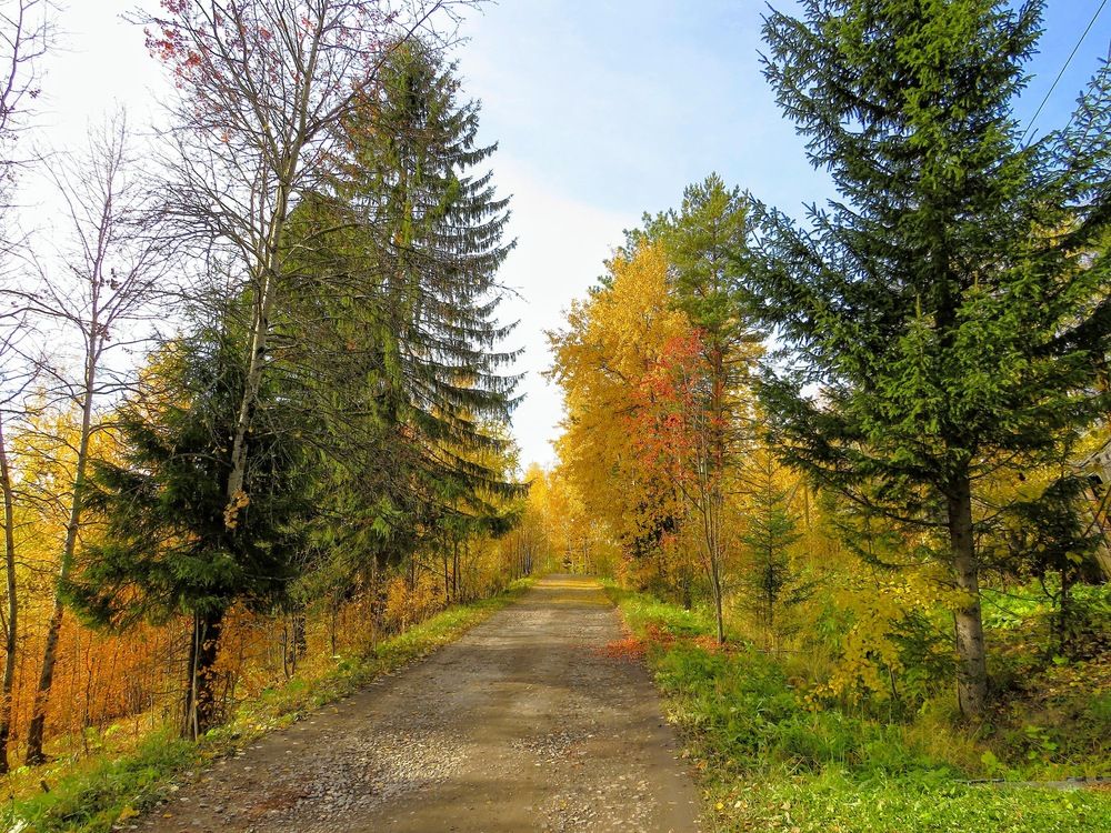 Дорога в осень