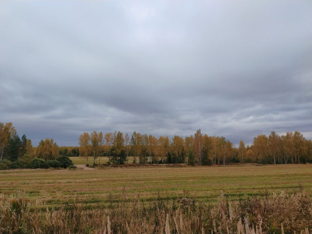 Photograph by Инна Голубева