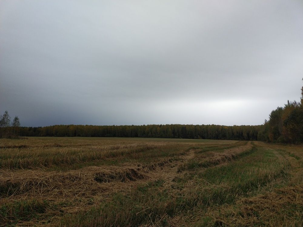 Photograph by Инна Голубева