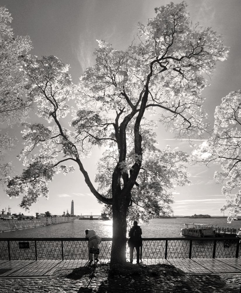 Фотография автора Сергей Григорьев