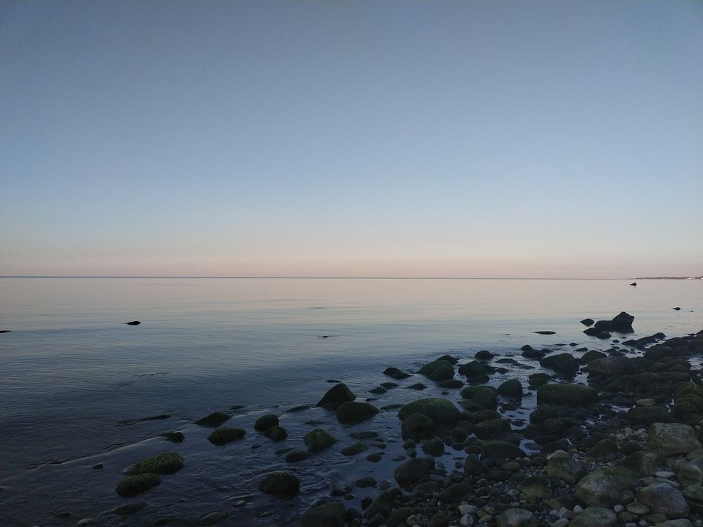 Photograph by Инна Голубева