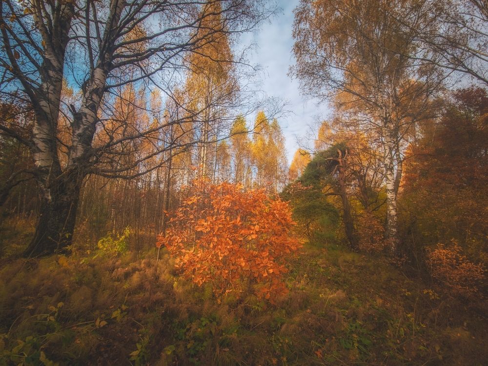 Photograph by Кирилл Сидоров