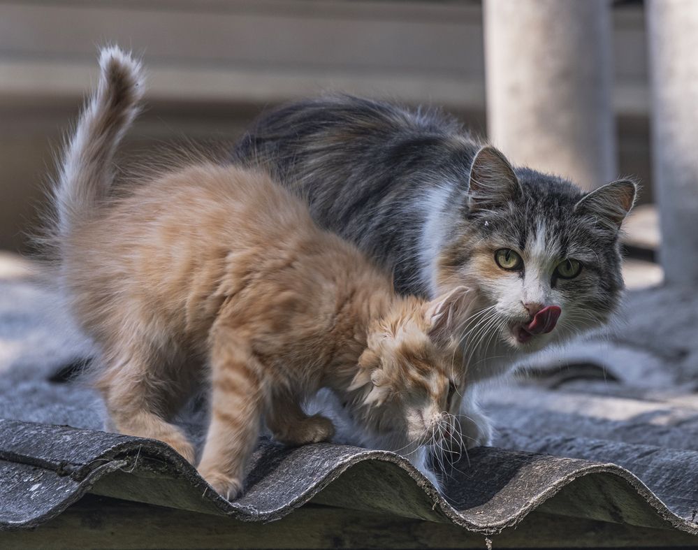 Photograph by ПУЗЕНКО ДМИТРИЙ