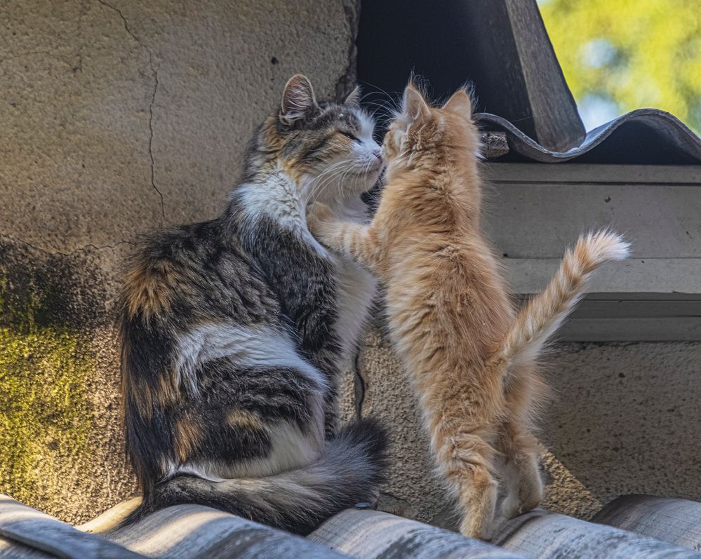 Photograph by ПУЗЕНКО ДМИТРИЙ