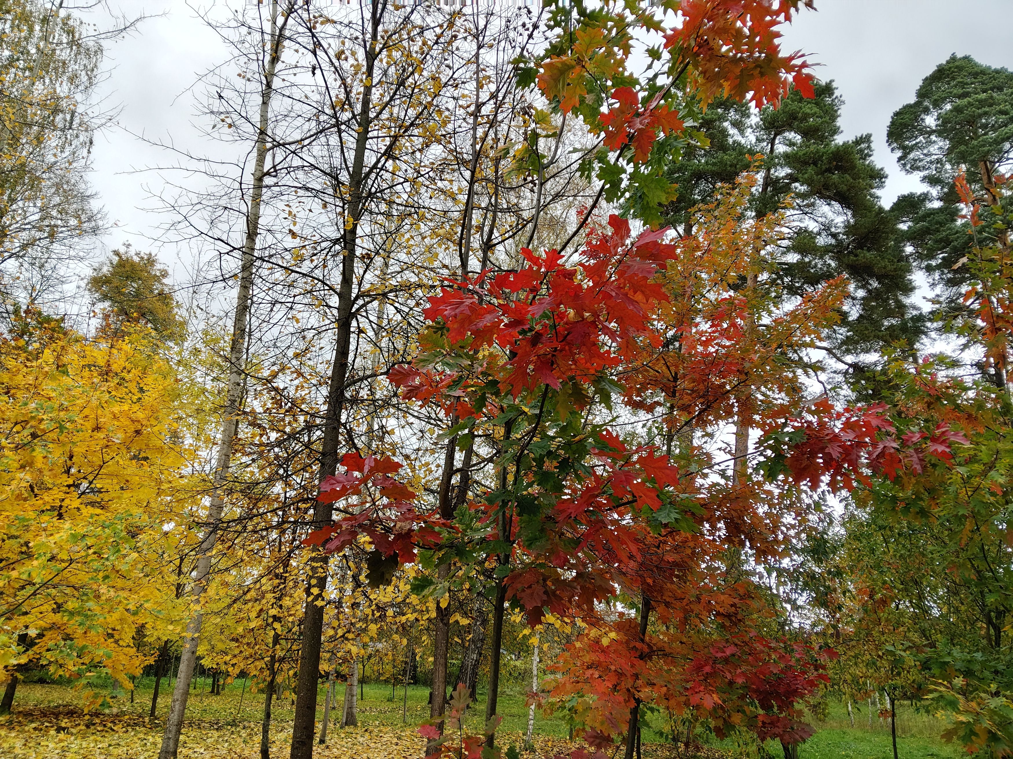 Photograph by Елена Сухорученкова