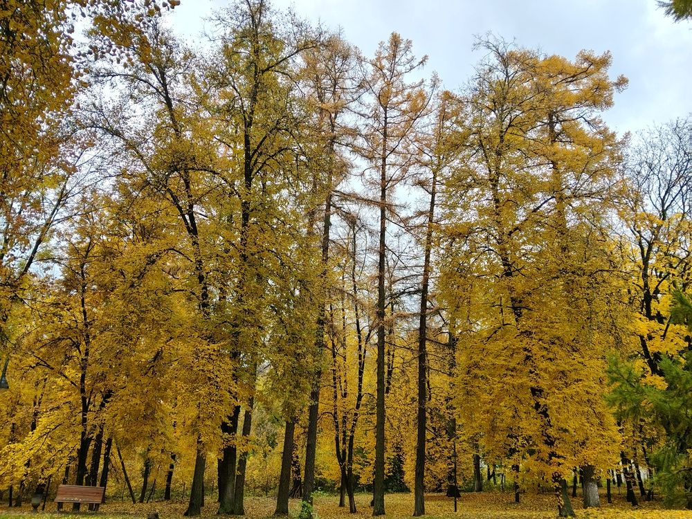 Photograph by Елена Сухорученкова