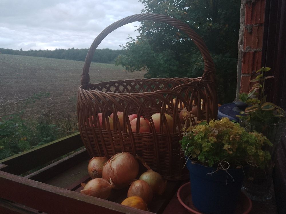 A still life at the window