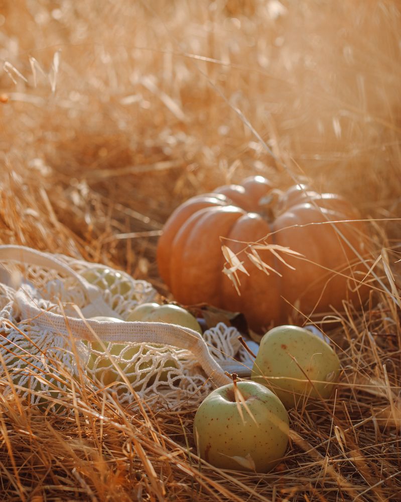 Photograph by Alexandra Sergeeva