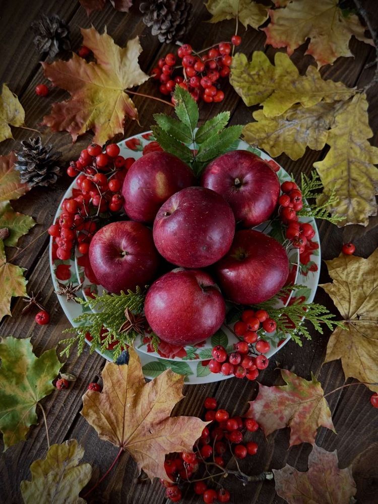 Photograph by Алена Ходатович