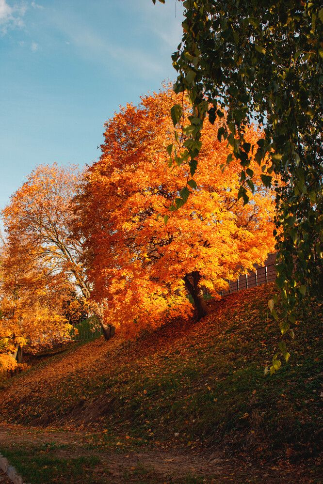 Photograph by Игорь Симонов