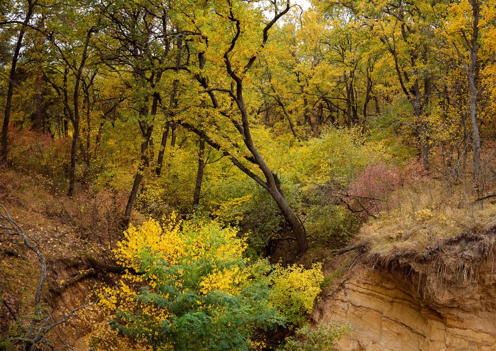 Photograph by София Стрыгина