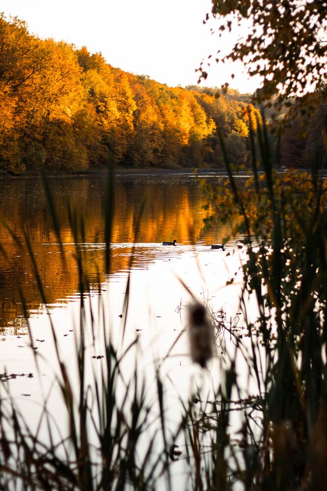 Photograph by Игорь Симонов