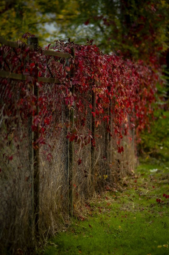 Photograph by Крупченко Роман