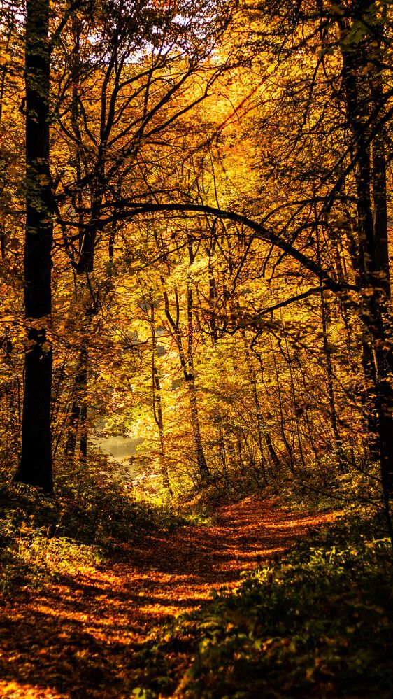 Photograph by Игорь Симонов