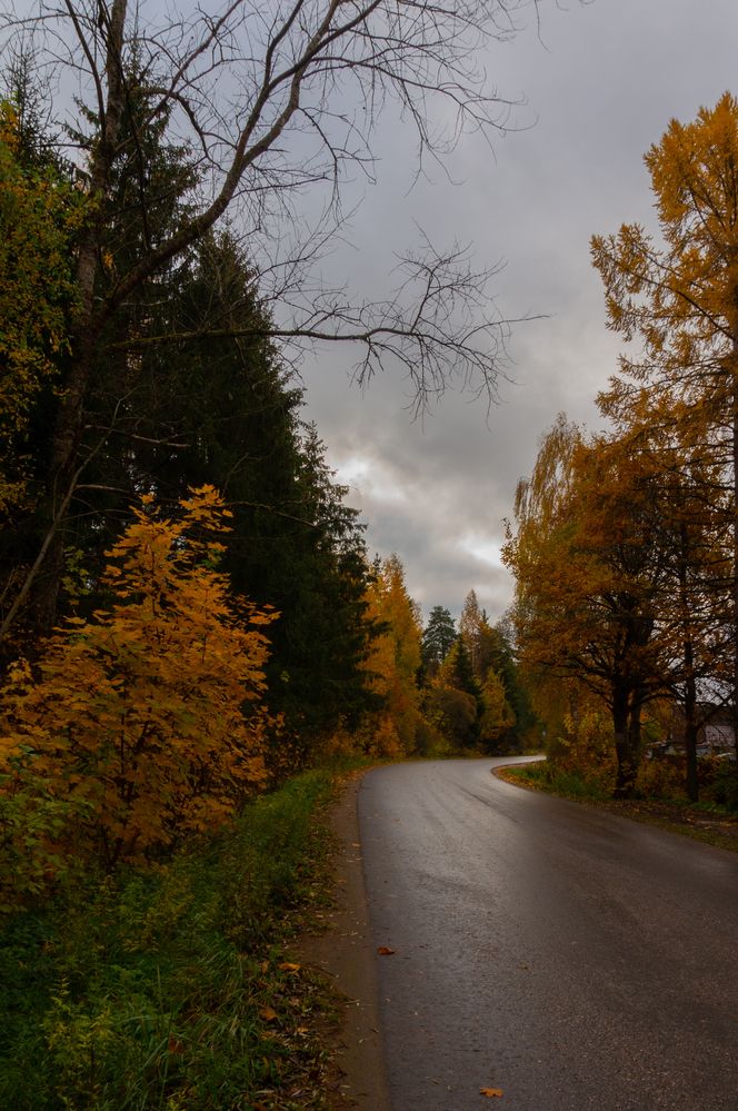 Photograph by Нина Малютина