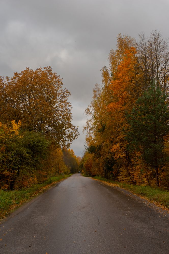 Photograph by Нина Малютина