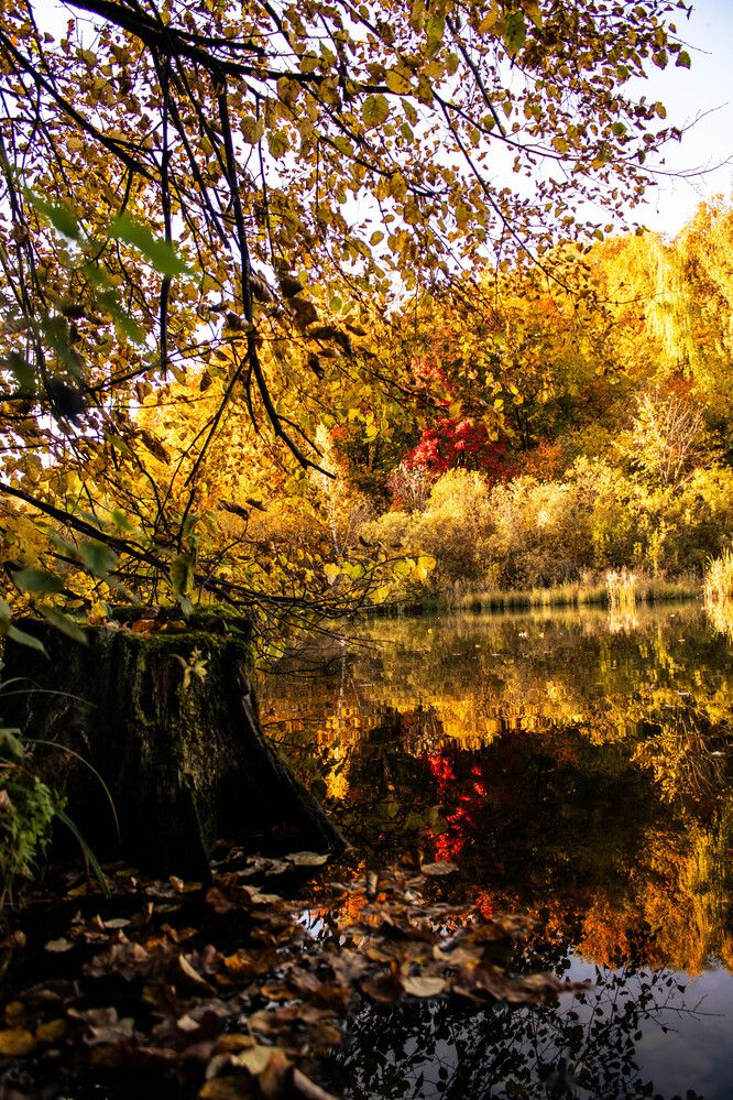 Photograph by Игорь Симонов