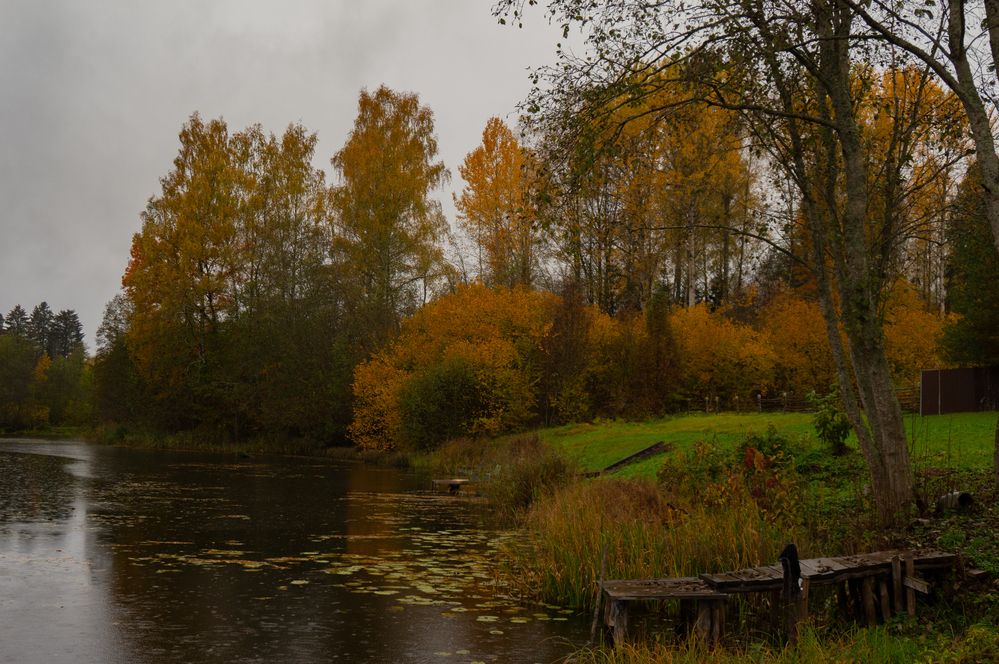 Photograph by Нина Малютина