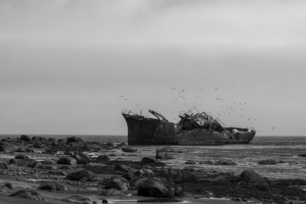 Photograph by Ирина Шестакова