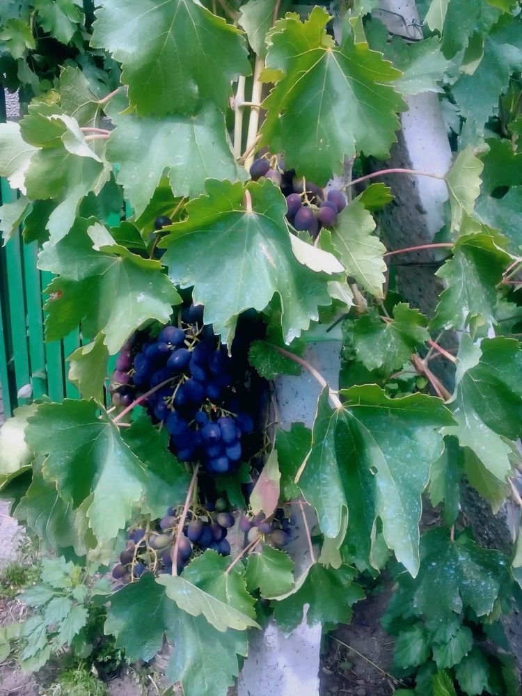 Photograph by Татьяна Кормщикова