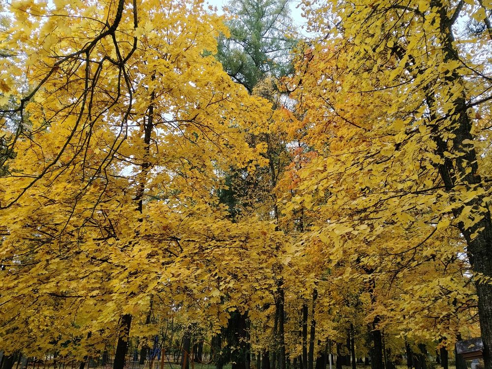 Photograph by Елена Сухорученкова