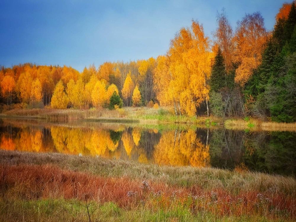 Photograph by Сергей Назаредский