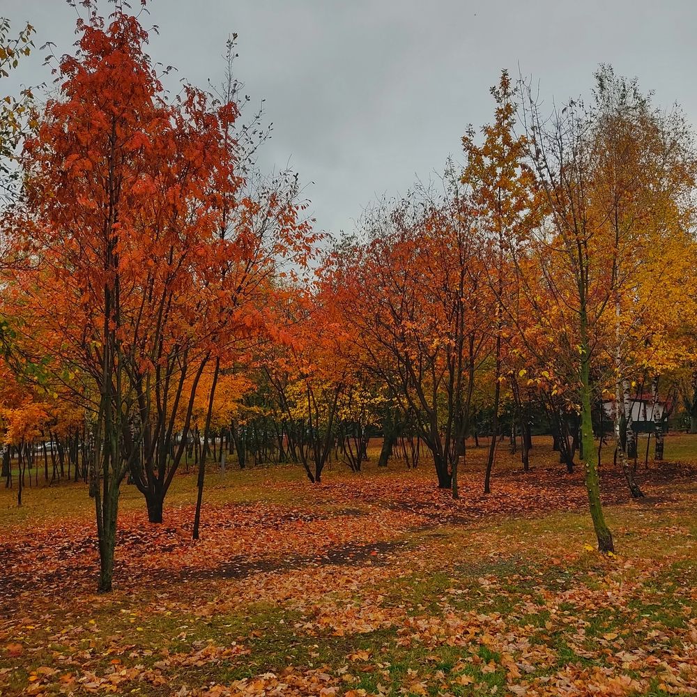 Photograph by Ксения Голубкова