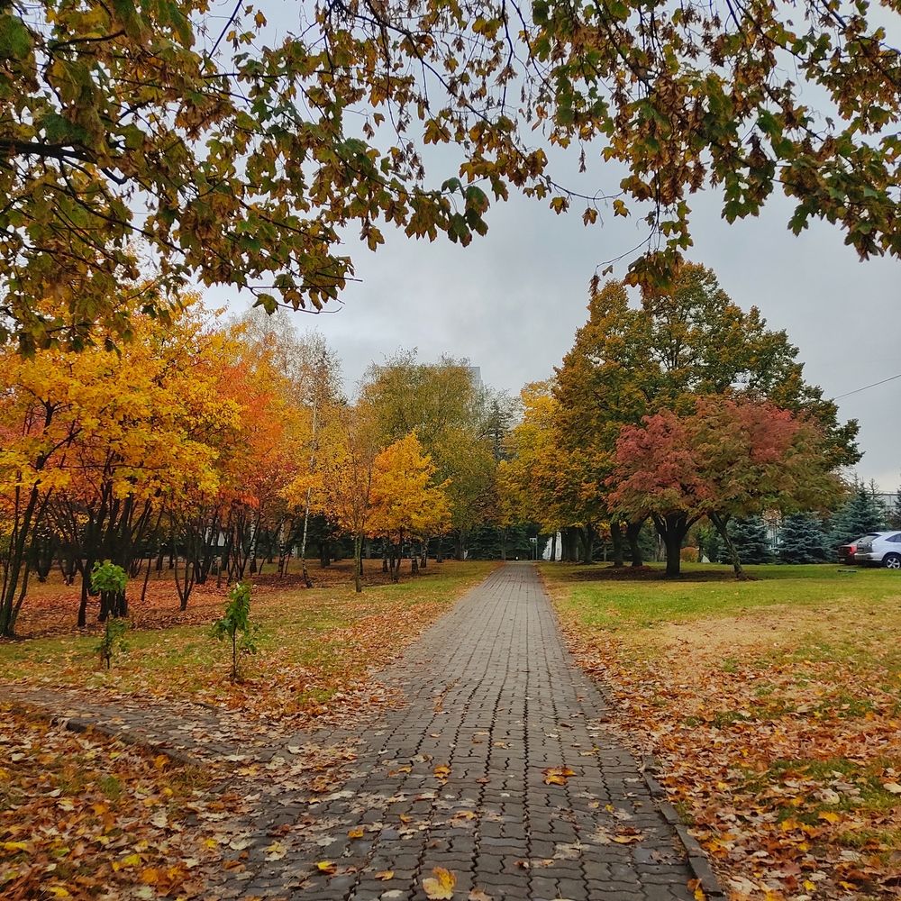 Photograph by Ксения Голубкова