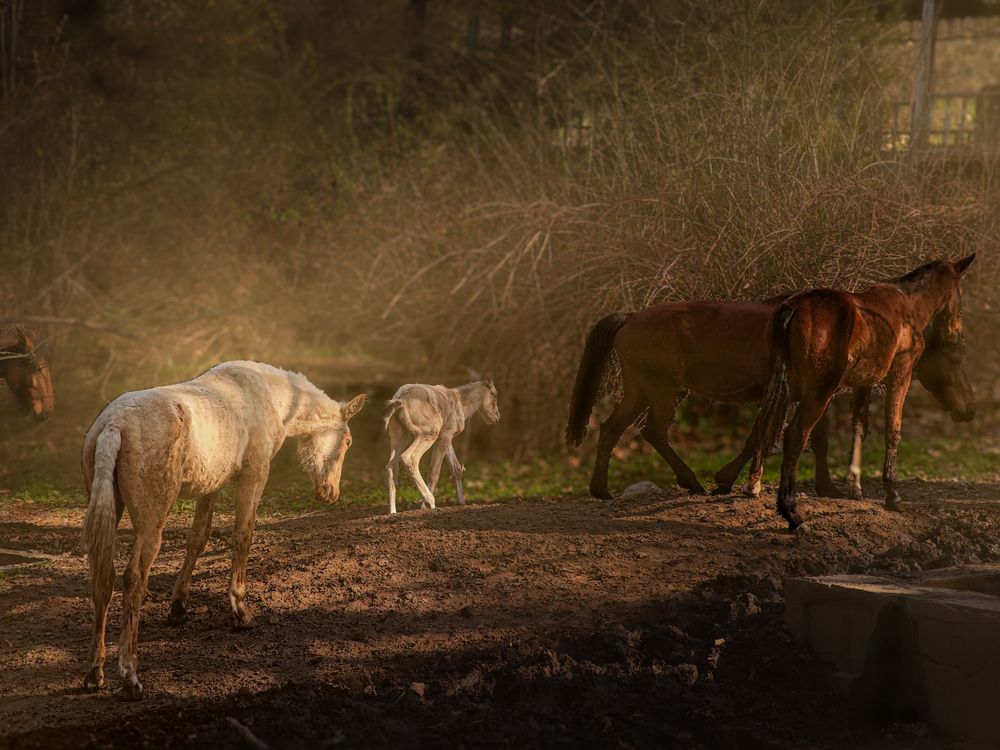 Photograph by Ольга Кос