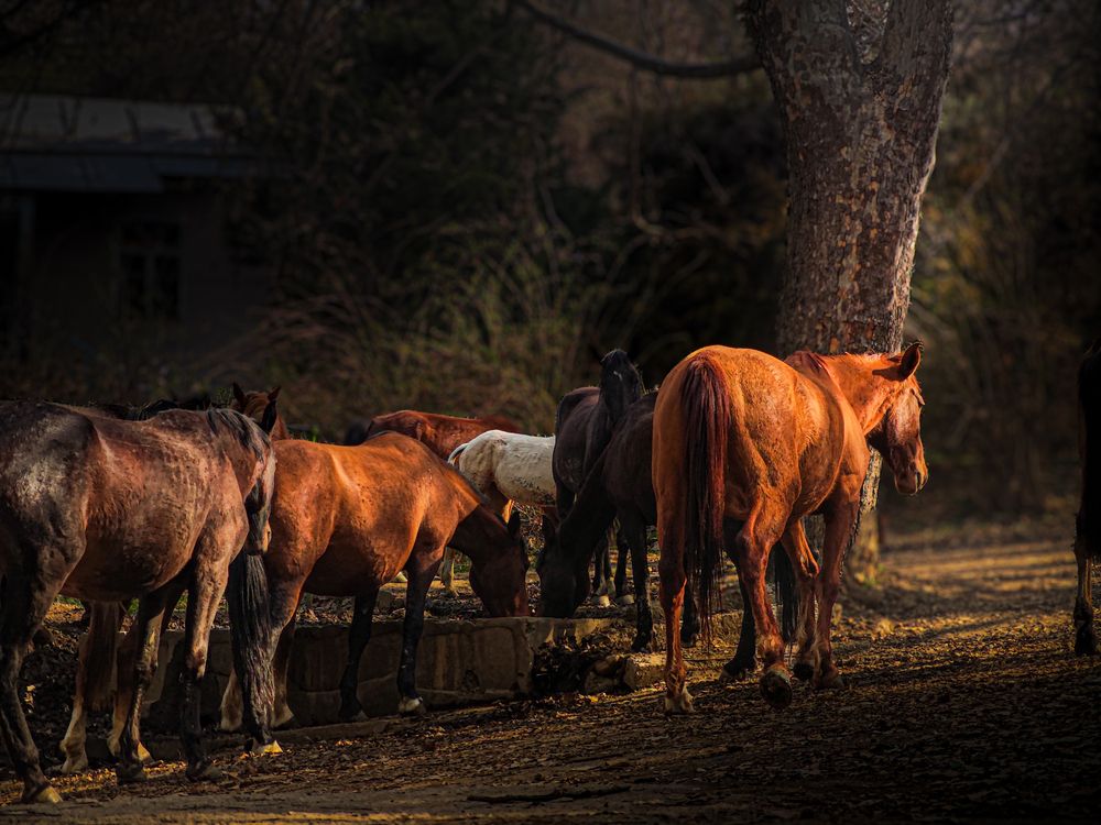 Photograph by Ольга Кос