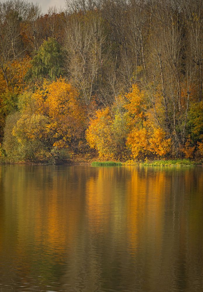 Photograph by Сергей Басов