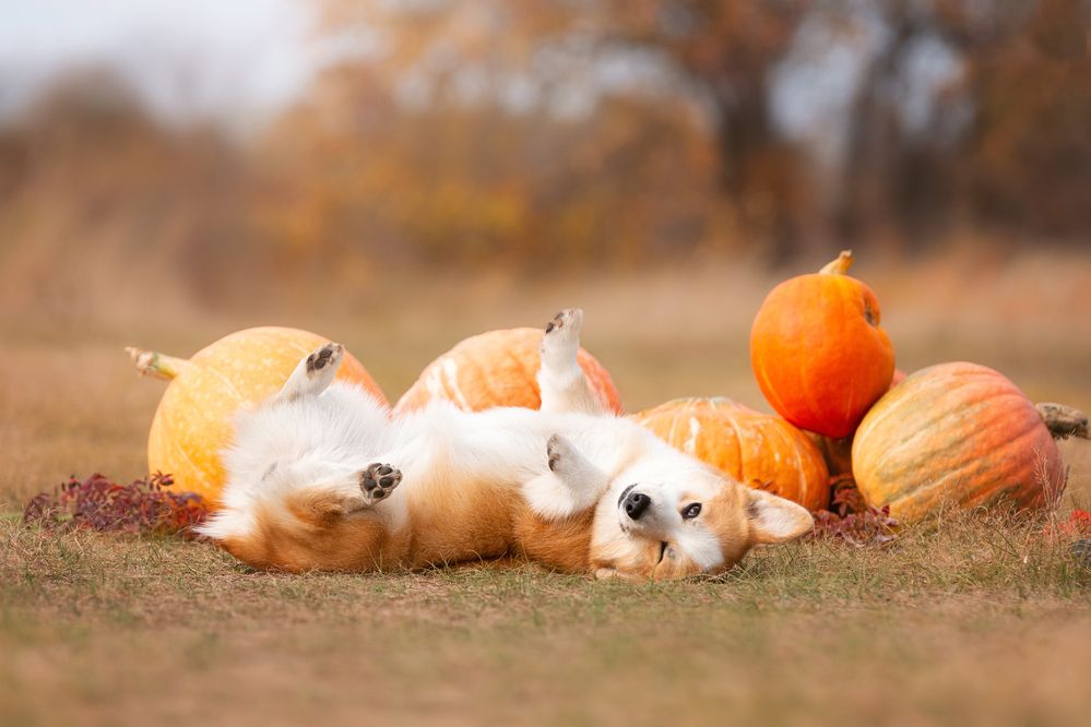 Photograph by Наталья Степанова