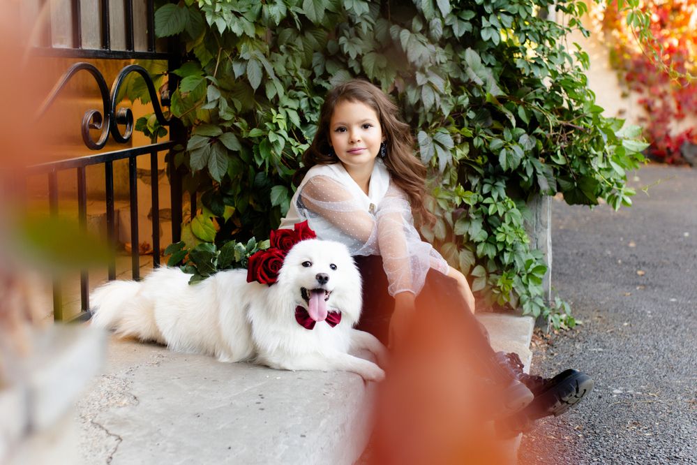 Photograph by дамир чекалин