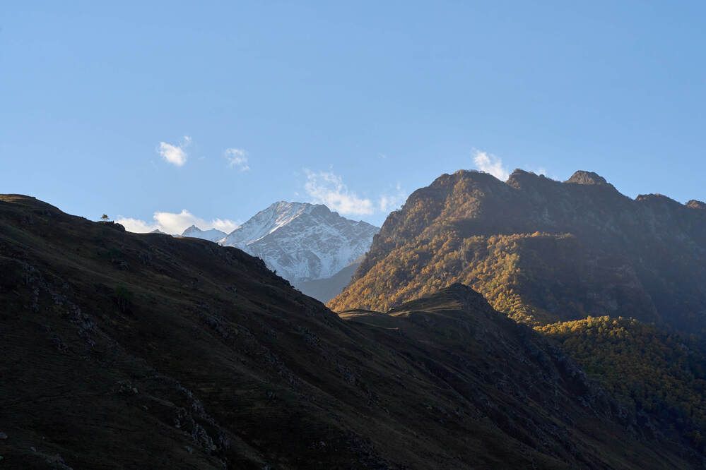 Фотография автора Dana Korolkova