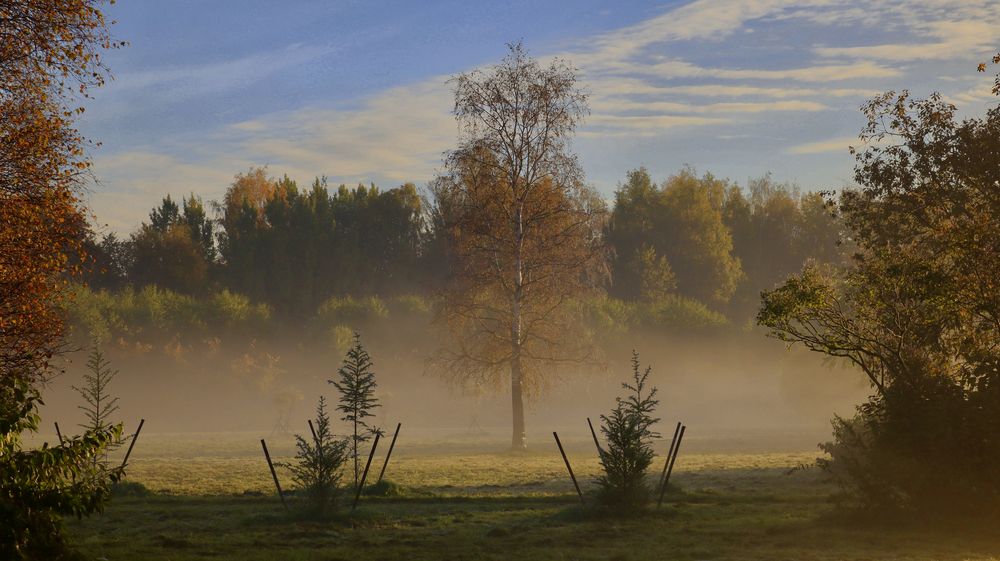 Photograph by Яна Егорова