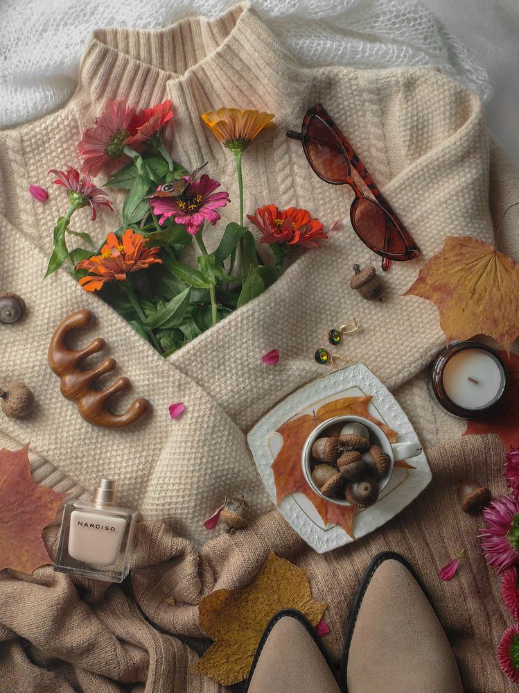 Фотография автора Ольга Панасюк