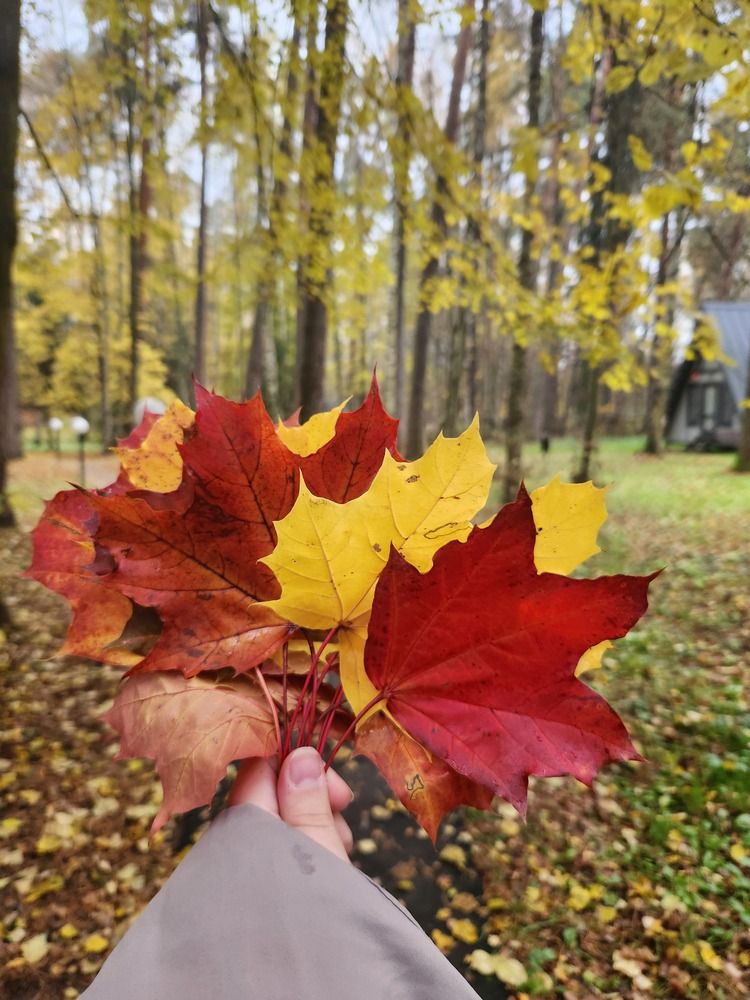 Photograph by Ксения Черных