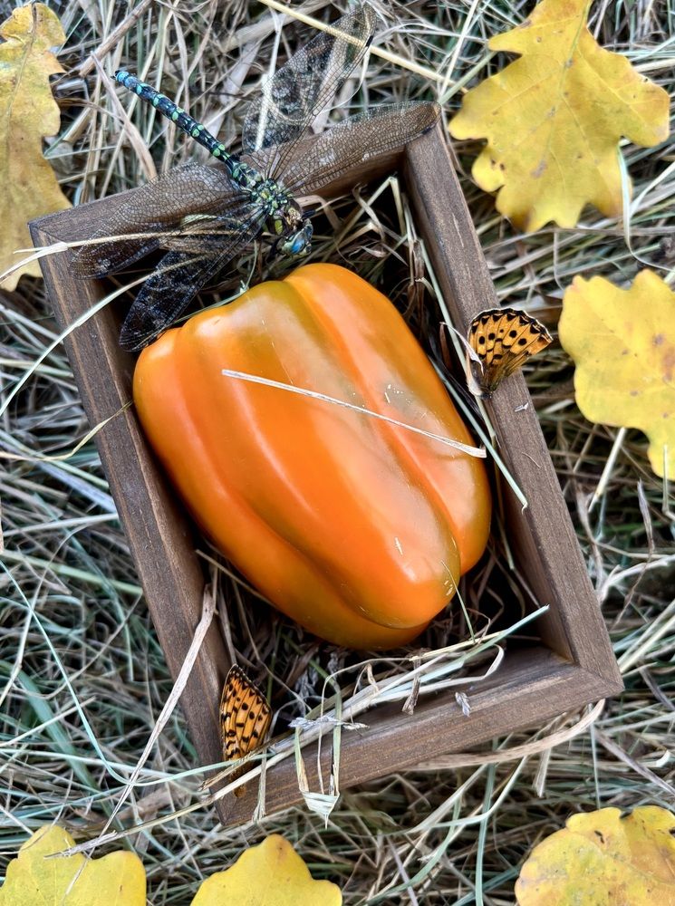 Photograph by Шаргородская Марина