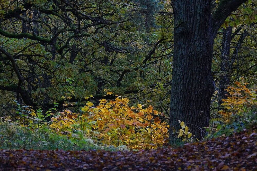 Photograph by jelena konickaja