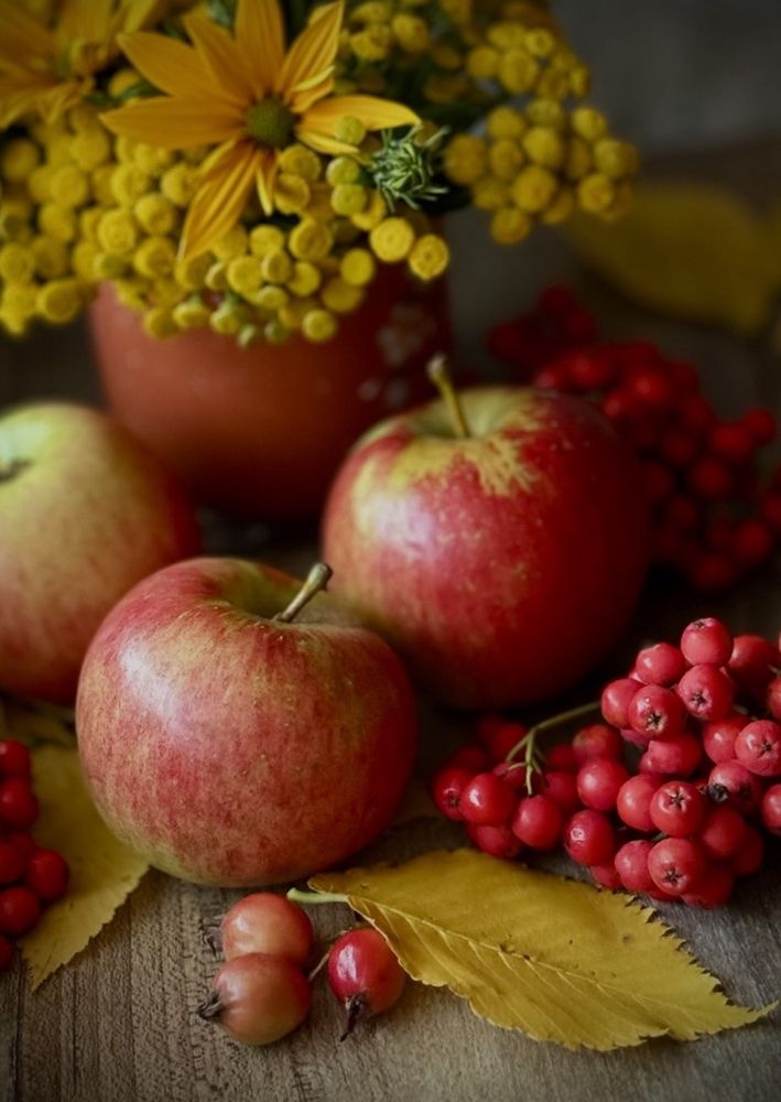 Photograph by Алена Ходатович