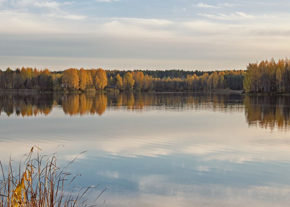 Photograph by Светлана Ващенко
