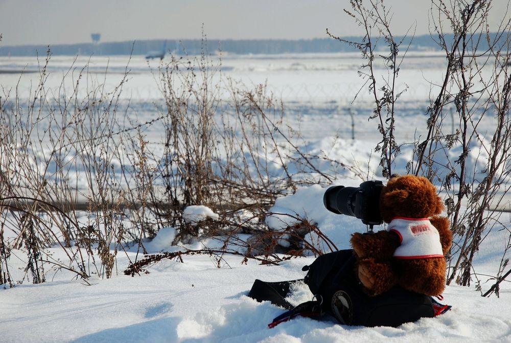 Photograph by DMITRIY DULIN