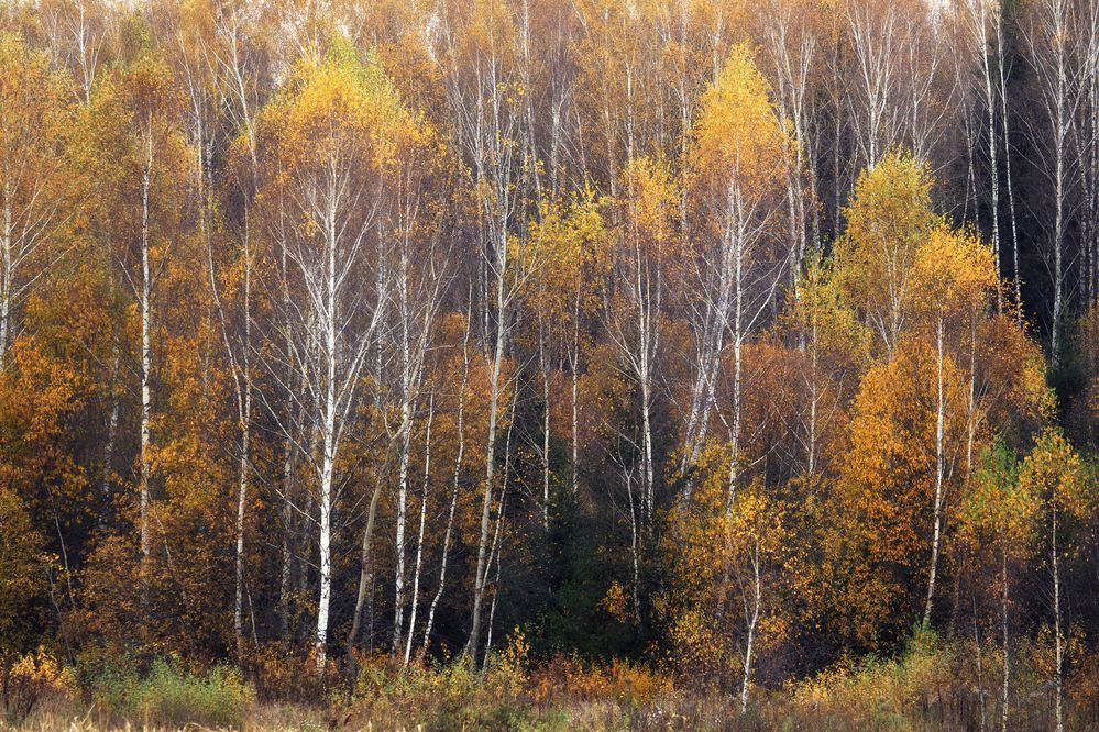 Photograph by Мозжухин Максим