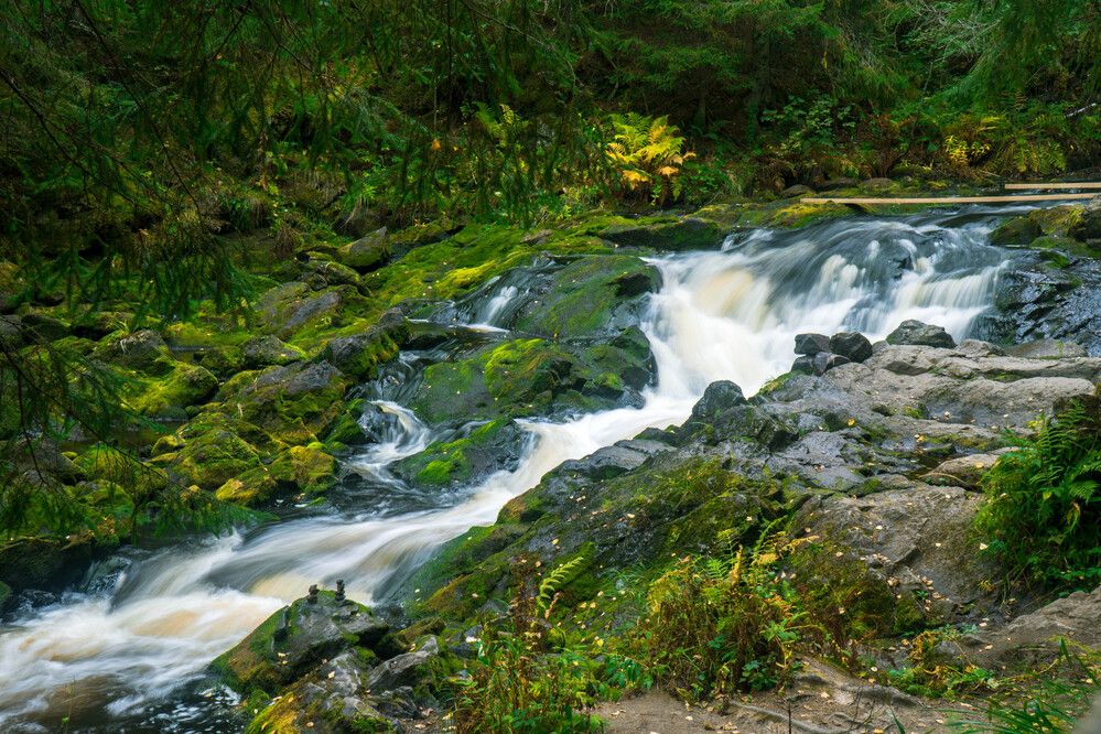 Photograph by Ekaterina Barashkova