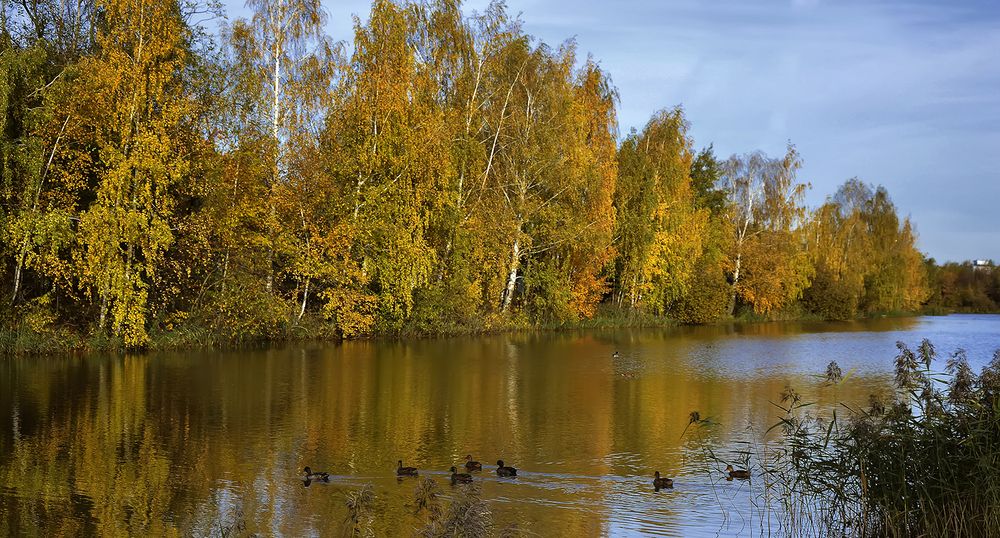 Photograph by Алексей Парамонов