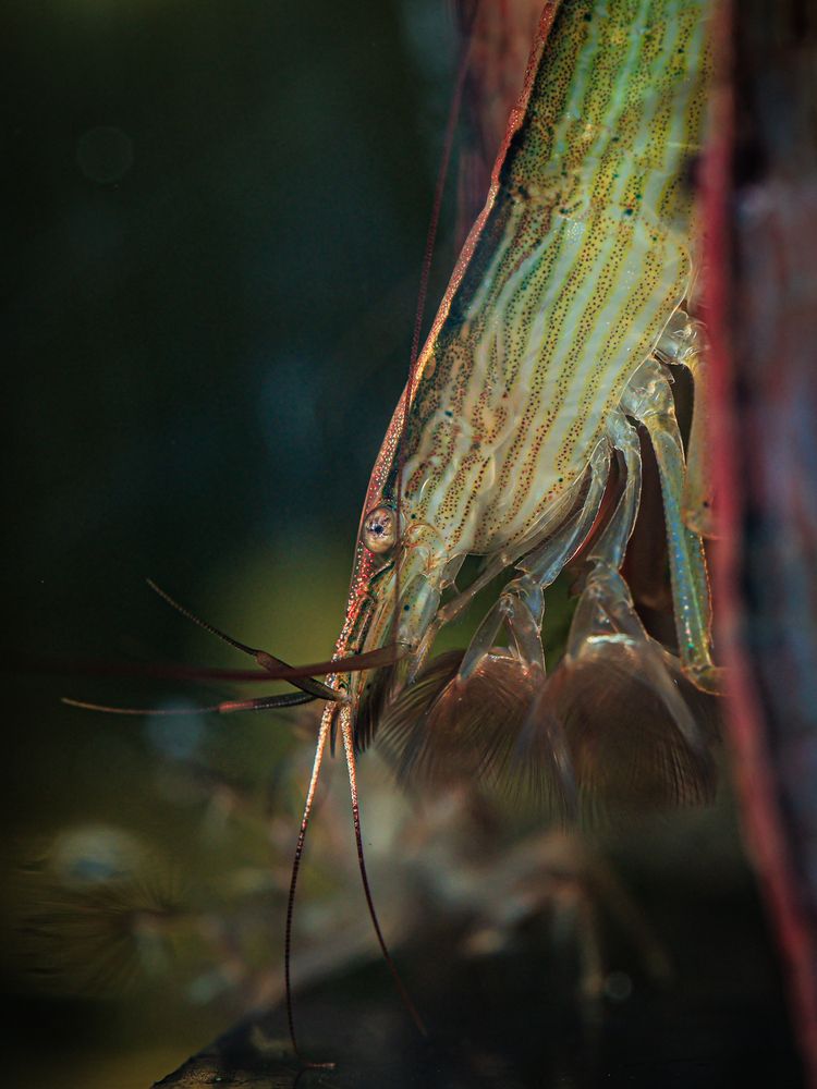 Photograph by Игорь Толкачев