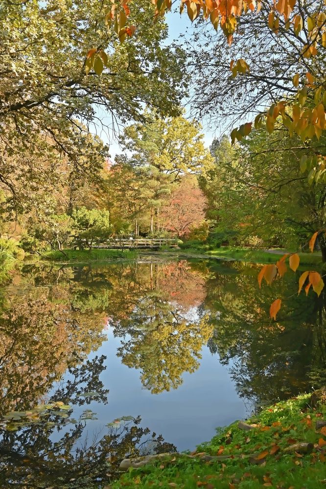 Photograph by Наталия Божьева