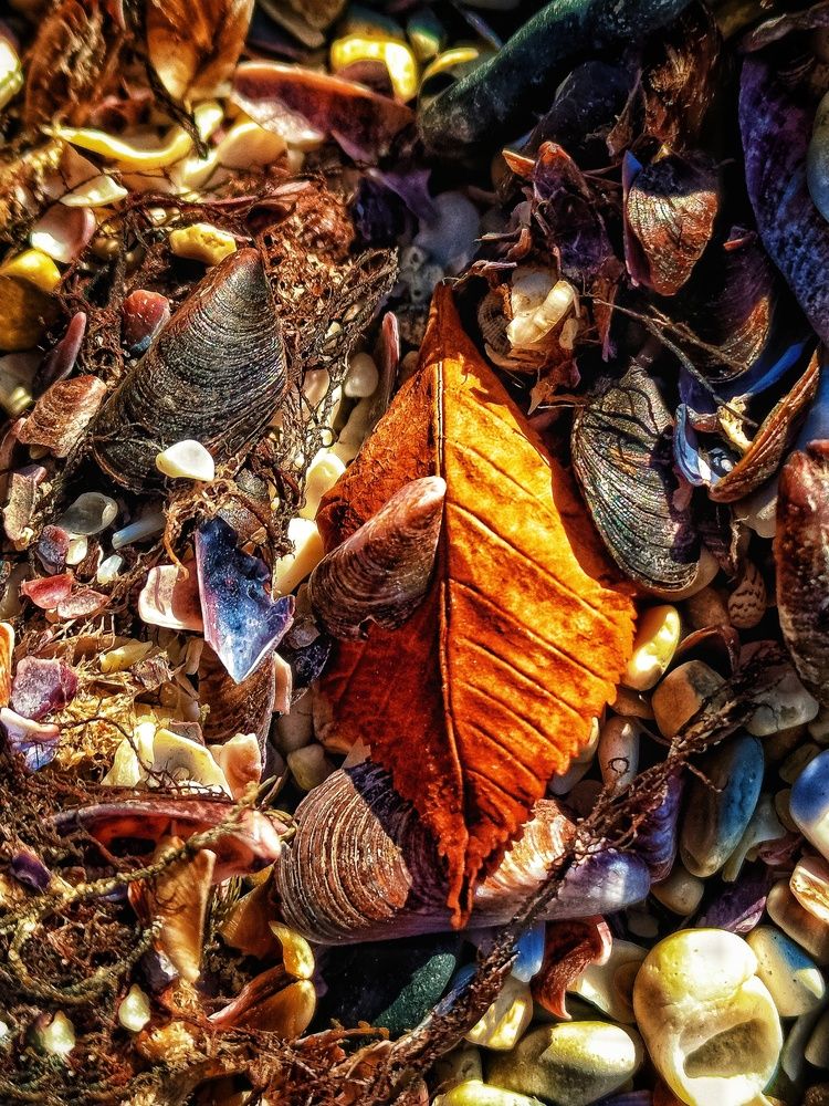 Photograph by Мирослава Сурженко