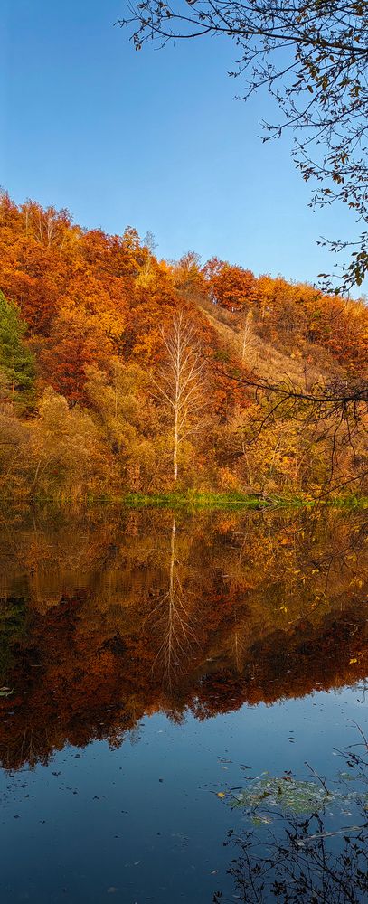 Photograph by Анастасия Семилетова