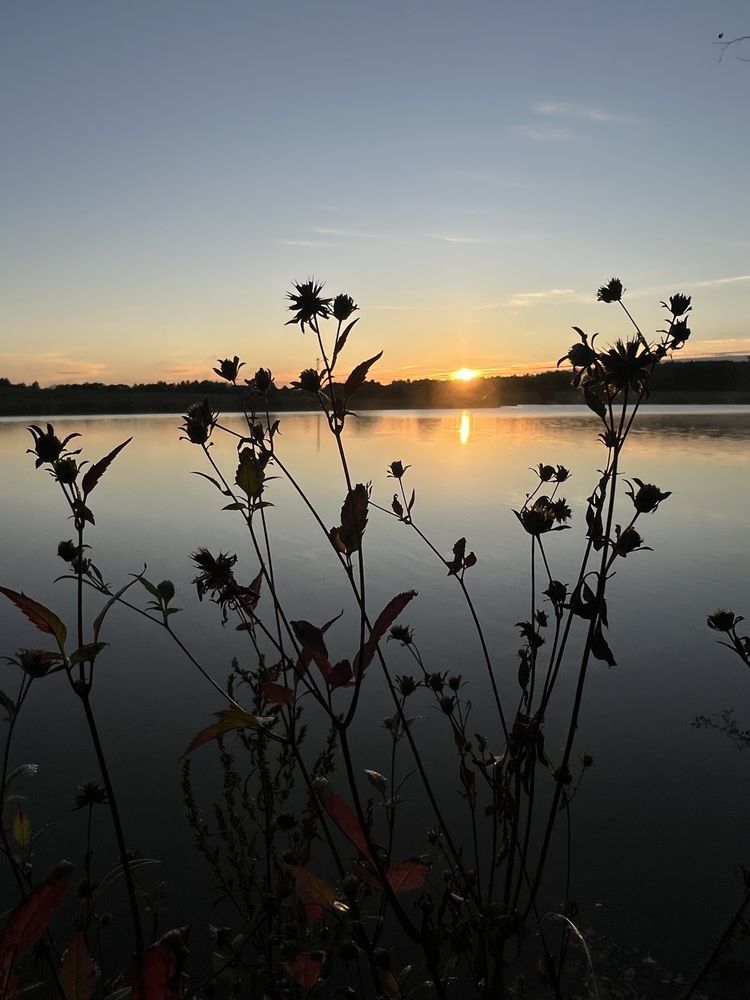 Photograph by Kira Ko